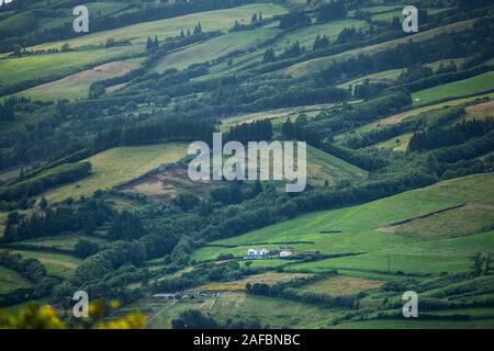 Green agricultural pattern of Faial Island, Azores, Portugal Stock Photo
