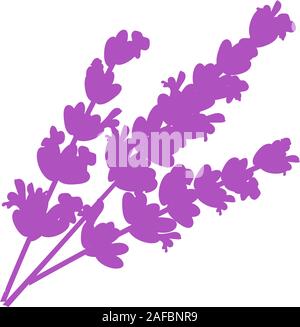 Lavender flower. Isolated lavender on white background illustration. EPS 10. Vector illustration Stock Vector