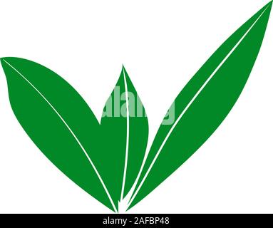Kitchen herbs and spices. Vintage with hand drawn sketch bay leaf Stock Vector
