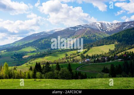 mountainous countryside landscape in spring. grassy meadow on top of a hill. mountain ridge with snow capped tops in the distance. sunny weather with Stock Photo