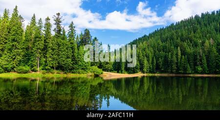 mountain lake in summertime. great outdoor nature scenery. coniferous forest with tall trees on the shore reflecting in clear water. deep blue sky wit Stock Photo