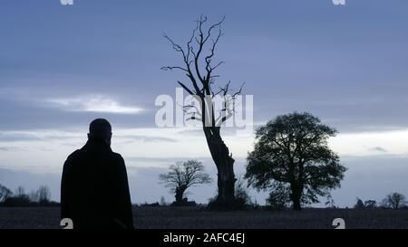 A mysterious, atmospheric man with back to camera, looking at a out of focus dead tree, with branches silhouetted against the sky, on a winters evenin Stock Photo