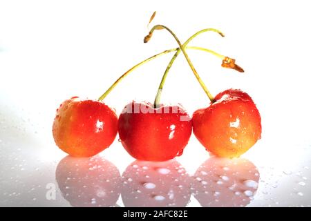 Three delicious ripe sweet cherries with cuttings isolated on a white background with reflection. Side view. Suitable for prints, design, production, Stock Photo