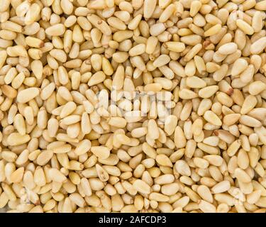 Pine Nuts close-up shot for use as background image or as texture Stock Photo