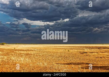 Savannah landscape with stormy sky, West Kimberley, Western Australia