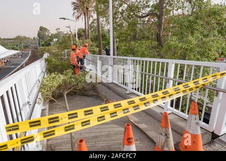 Sydney Aust Nov 26th 2019: Trees being cleared at Gordon station after a sudden storm ripped through northern Sydney snapping trees and power poles Stock Photo