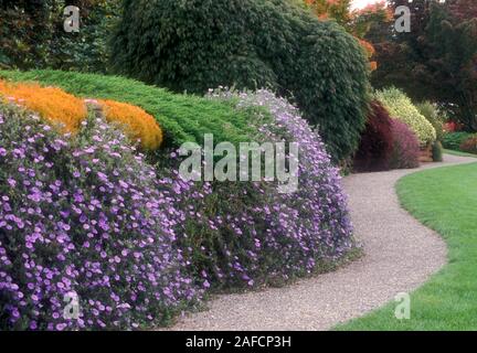 WINDING PATHWAY THROUGH SMALL PARK EDGED WITH CONVOLVULUS AND ASSORTED BUSHES AND SHRUBS. NEW SOUTH WALES, AUSTRALIA. Stock Photo