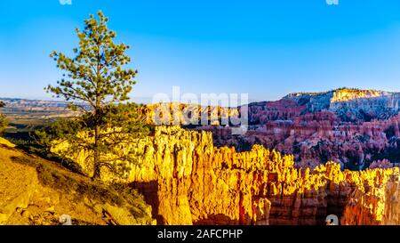 Sunset over the Vermilion Colored Hoodoos at Sunset Point of Bryce Canyon National Park, Utah, United States Stock Photo