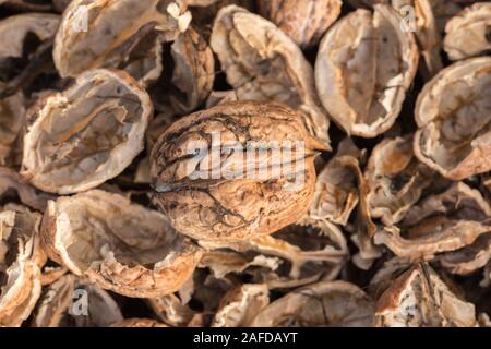 One complete walnut with cracked walnut shells. Pieces of nutshells. Stock Photo