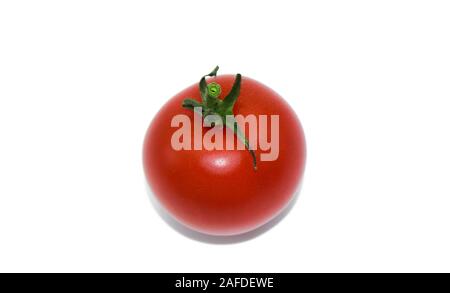 Tomato, one single red tomato isolated on white background Stock Photo