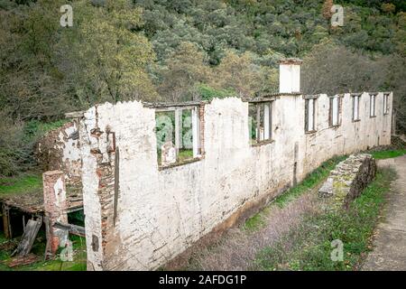 Old dilapidated building in the middle of a very lush and green forest, with window vision and old building structure Stock Photo