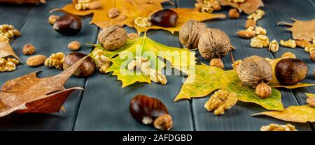 Bodegón de hojas de otoño con castañas, avellanas, nueces y almendras sobre tabla de madera gris Stock Photo