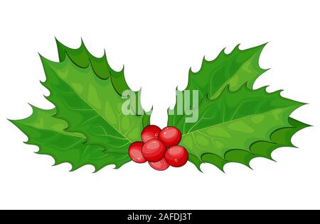 Holly berry, Christmas leaves and fruits icon, symbol, design. Winter vector illustration on white background. Decorative twigs, bunches of Mistletoe Stock Vector