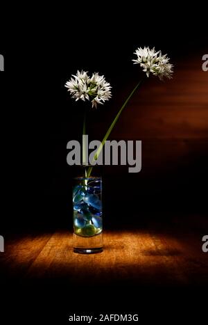 Moody shot of Wild Garlic cut flowers in a beautiful mini vase, under a spotlight on a wooden table top and flash of light in the background Stock Photo