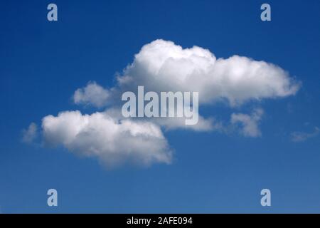 Wolken, Einzelne Cumuluswolke vor blauen Himmel Stock Photo