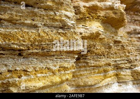 Shellfish background. Wall made of shellfish. Building material background. Close-up of wall from shellfish. Background of natural building material. Sea resources in building industry Stock Photo