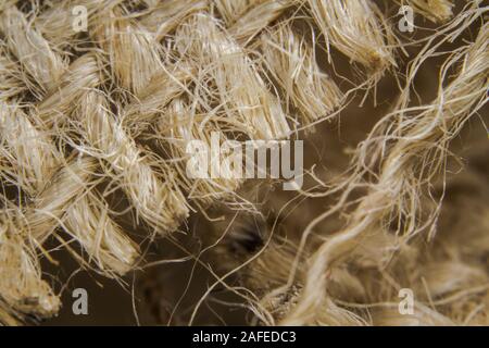 Macro shots close-up the burlap cloth side Stock Photo