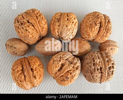 Big vs small walnuts on canvas background Stock Photo