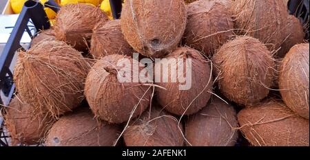 Some brown coconuts on sale textured close up. Stock Photo