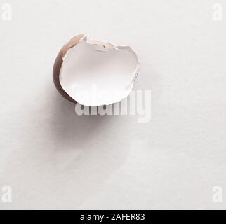 looking down on a half egg shell Stock Photo
