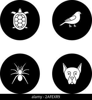 Pets glyph icons set. Tortoise, canary, spider, Doberman Pinscher. Vector white silhouettes illustrations in black circles Stock Vector