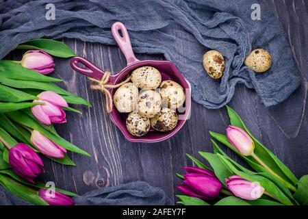 Spotted quail eggs and pink spring flowers tulips on a gray wooden background. Top view Stock Photo