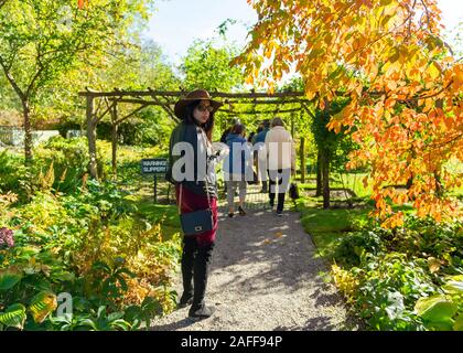 Old Westbury, New York, USA. 19th Oct, 2019. At front center, ROXANNE BINASO, of New Hyde Park, turns around to look behind her, as she and other guests walk through a garden in autumn during an art tour at Old Westbury Gardens, during Closing Reception for Jerzy KÄ™dziora (Jotka) Balance in Nature outdoor sculptures exhibit. Credit: Ann Parry/ZUMA Wire/Alamy Live News Stock Photo