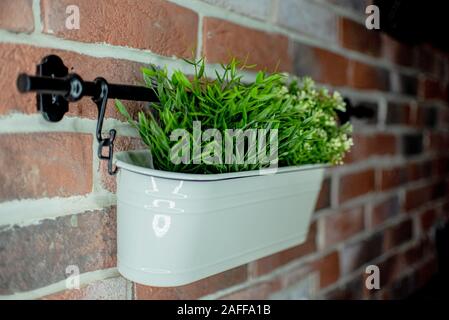 In a ceramic pot decorative home greens. In the kitchen on the stove background. Artificial grass. Interior landscaping. Stock Photo