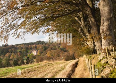 Colourful Foliage in the Aberdeenshire Countryside Around Craigievar Castle on a Sunny Morning in October Stock Photo