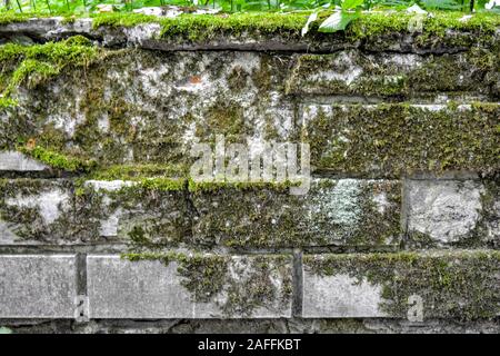 Ancient stone wall of ruin overgrown with grass and moss. Texture of old stone bricks wall Stock Photo