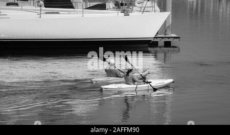 A fit, middle aged couple maneuvers their kayaks around sailboats and yachts in the marina at the Santa Barbara harbor, Santa Barbara, CA, in B&W Stock Photo
