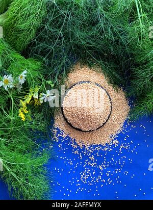 Quinoa, quinoa or quinoa, Chenopodium quinua. It is a seed, but it is  known and classified as an integral grain, grown mainly in the Andes  mountain Stock Photo - Alamy