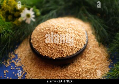 Quinoa, quinoa or quinoa, 'Chenopodium quinua'. It is a seed, but it is known and classified as an integral grain, grown mainly in the Andes mountain Stock Photo