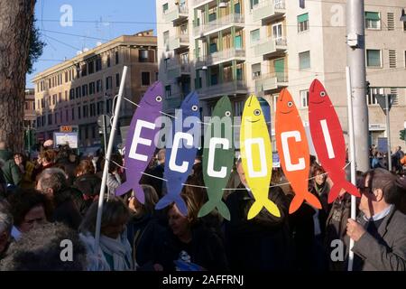Rome, Italy. 14th Dec, 2019. Global Sardine Day. More than 40.000 supporters came to Saint John Square to show their support for “6000 Sardines”, an anti-populist left-wing movement, to express their opposition to populist forces. The spontaneous pacifist and antifascists movement is against the League Party and the far-right. Rome, Italy, Europe, EU. Stock Photo
