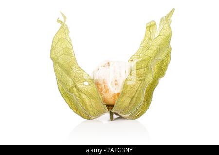 One whole moldy fresh orange physalis isolated on white background Stock Photo