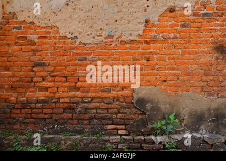 Vintage brick wall with cement plaster finish, part of cement is cracked, there are weeds growing at base, another brick in the wall concept Stock Photo