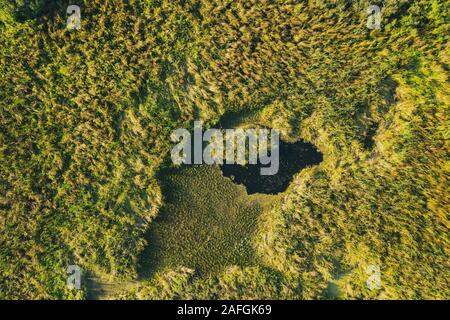 Aerial View Of Green Grass Landscape. Top View From High Attitude In Summer Evening. Small Marsh Bog. Drone View. Bird's Eye View. Stock Photo