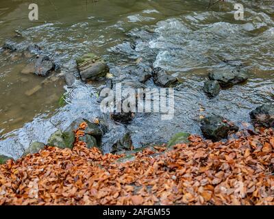 Selective focus on rocks in the river running through the town of Maastricht, Netherlands Stock Photo