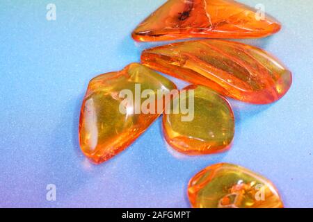 Amber with trapped insects photographed in studio with close up lens Stock Photo