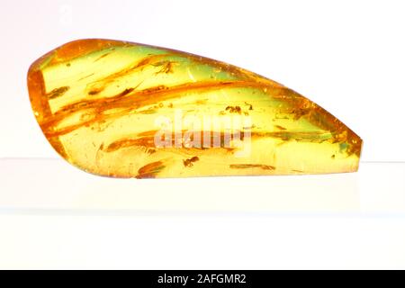 Amber with trapped insects photographed in studio with close up lens Stock Photo