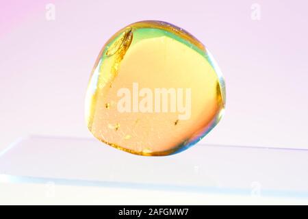 Amber with trapped insects photographed in studio with close up lens Stock Photo