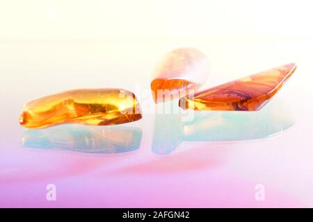 Amber with trapped insects photographed in studio with close up lens Stock Photo