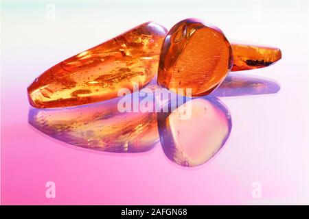 Amber with trapped insects photographed in studio with close up lens Stock Photo