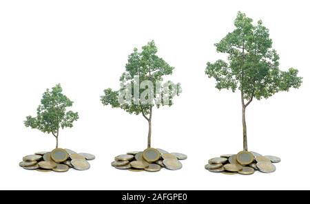 Three trees growing from pile of coins Stock Photo