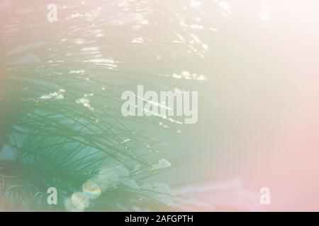 Abstract Christmas image suitable for the holiday background Stock Photo