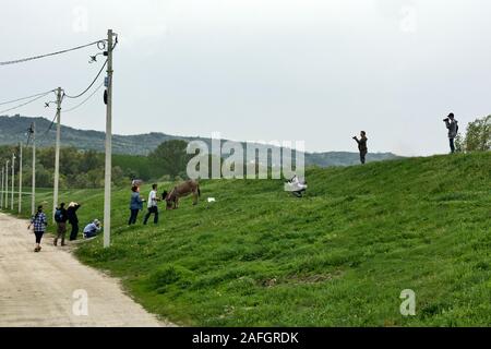 Ivanovo, Serbia, April 15, 2018. A group of photographers are photographing a rural donkey grazing in nature. Stock Photo