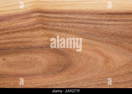Masterly stylish brown veneer background. High quality texture in extremely high resolution. Stock Photo