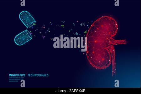 Human kidneys medicine treatment concept. Medical help therapy treatment. Urinary system cancer abdomen prevention poster template. Drugstore pill 3D Stock Vector