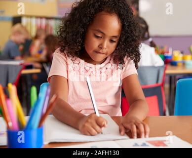 Concentrating Female Elementary School Pupils Working At Desk Stock Photo