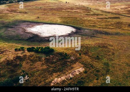 Aerial view of pond in countryside meadow landscape in autumn, drone pov Stock Photo